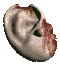 Player's ear.png