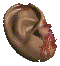 Masticator's ear.png