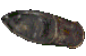 Howitzer shell.png
